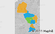 Political Map of Midlands, lighten, desaturated